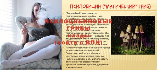 героин Богданович