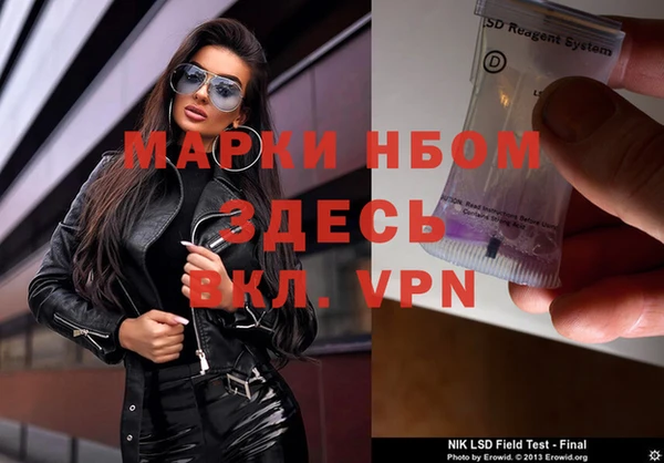 ПСИЛОЦИБИНОВЫЕ ГРИБЫ Каменка